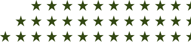 Five rows of dark green stars aligned in a grid pattern on a transparent background.